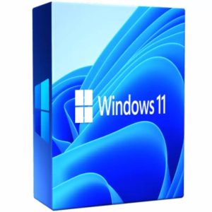 windows 11 pro ban quyen Phần mềm bản quyền Windows 11 Pro 64-bit Key (1 thiết bị, Vĩnh viễn )